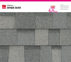 TruDefinition Duration Storm - ANTIQUE SILVER