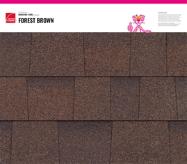 TruDefinition Duration COOL - FOREST BROWN