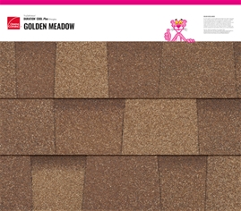 TruDefinition Duration COOL Plus - GOLDEN MEADOW